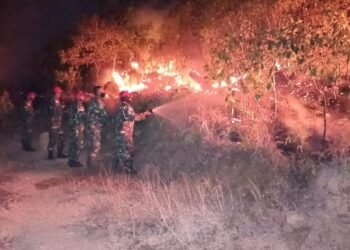 Prajurit Lanal Tanjung Balai Karimun Berjibaku Padamkan Karhutla.