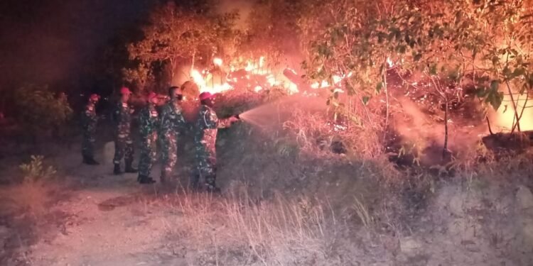 Prajurit Lanal Tanjung Balai Karimun Berjibaku Padamkan Karhutla.