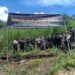 Polri Musnahkan 7 Haktare Ladang Ganja Di Gunung Lauser Dan Sita 592 Kg Ganja Kering .