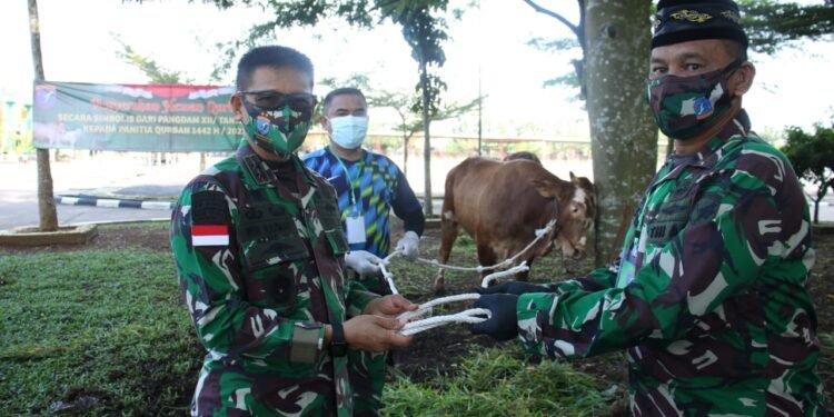 Pangdam XII/Tpr Serahkan Hewan Qurban.
