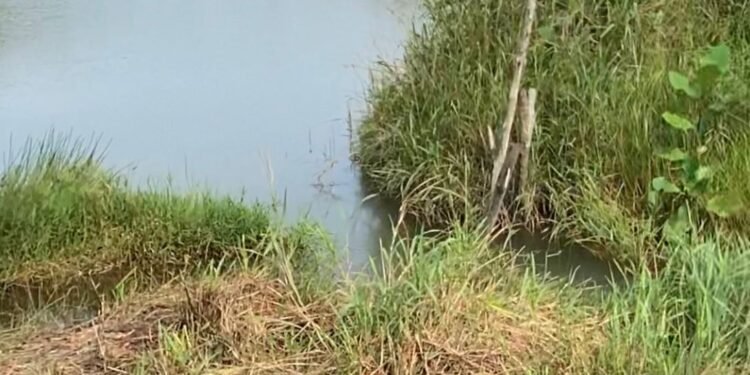 Giat Normalisasi Kolong/Waduk Batu Kacang, Kabid SDA DPU-PR Lingga Sebut Solusi Penanganan Banjir.