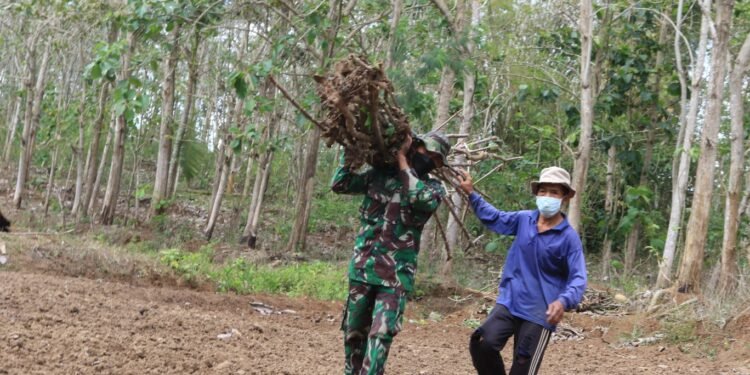 Senangnya Mbah Suwito Di Bantu Oleh Anggota Satgas TMMD Kodim 0808/Blitar.
