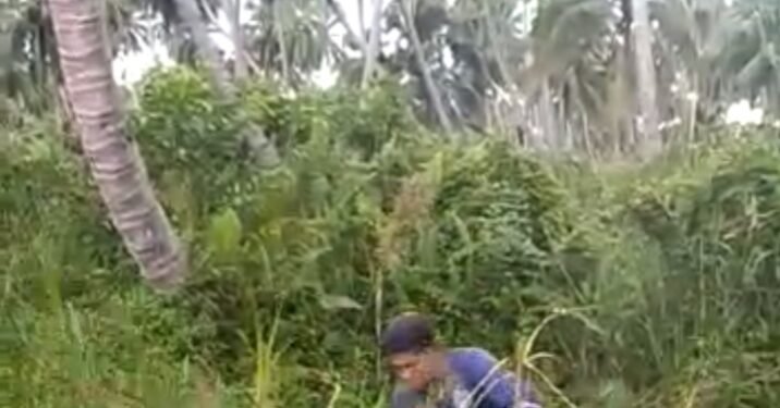 Warga Dusun Remik Berharap OPD Terkait Pemkab Lingga Serius Tanggapi Peremajaan Perkebunan Kelapa.