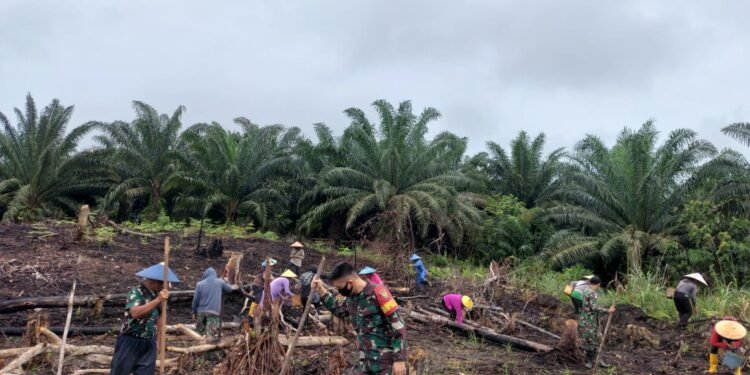 Dayak Tobak Bersama Anggota Satgas Yonif 144/JY Lestarikan Budaya Nugal Di Perbatasan.