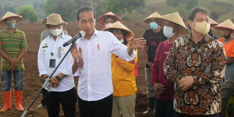 Momen Presiden Jokowi Tanam Jagung Pakai Traktor.
