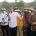 Momen Presiden Jokowi Tanam Jagung Pakai Traktor.