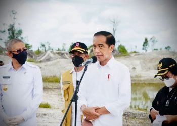 Rehabilitasi Kerusakan Hutan, Presiden Jokowi Tanam Pohon Di Area Bekas Tambang.