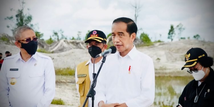 Rehabilitasi Kerusakan Hutan, Presiden Jokowi Tanam Pohon Di Area Bekas Tambang.