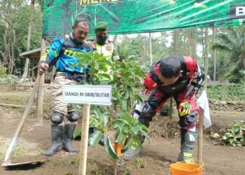 Dandim 0808/Blitar Bersama Rider Trail, Laksanakan Penghijauan Di Wilayah Kabupaten Blitar.