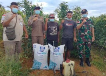 Dukung Ketahanan Pangan, Anggota Satgas Yonif 144/JY Bersama Karantina Pertanian Berikan Bantuan Pupuk Di Perbatasan.