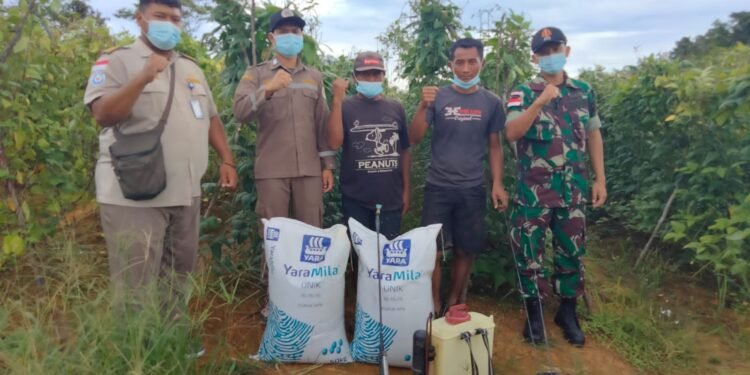 Dukung Ketahanan Pangan, Anggota Satgas Yonif 144/JY Bersama Karantina Pertanian Berikan Bantuan Pupuk Di Perbatasan.