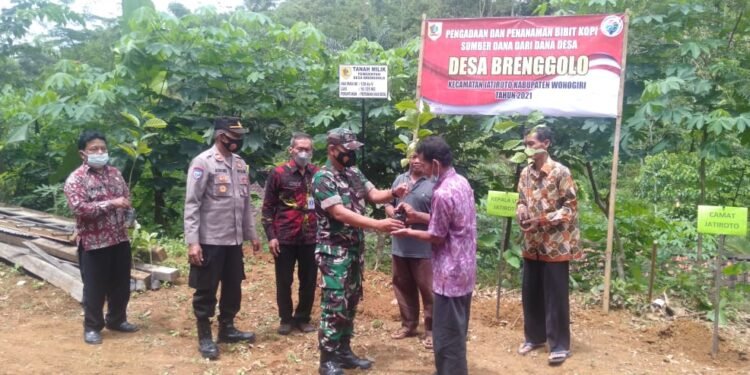 Ratusan Pohon Alpukat Dan Ribuan Pohon Kopi “Robusta” Ditanam, Ini Tujuannya.