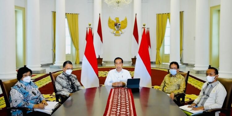 Pemerintah Cabut Ribuan Izin Usaha Tambang, Kehutanan, dan HGU Perkebunan.