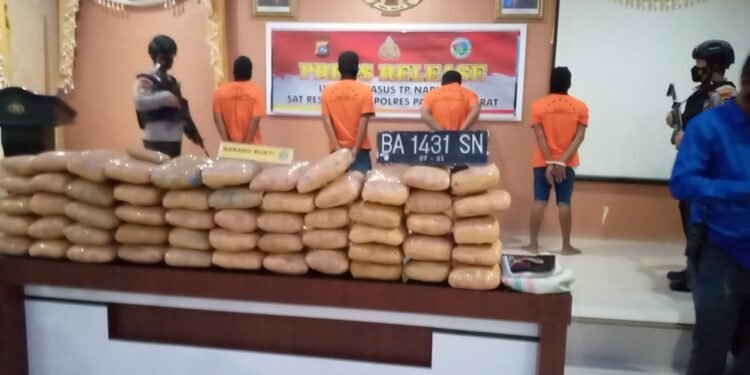 Bawa 2 Karung Ganja Dari Penyabungan, 4 Pelaku Ditangkap Polres Pasbar.