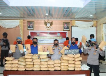 Tangkapan Terbanyak Satresnarkoba Polres Pasaman Barat, 56 Paket Ganja Kering Telah Disita Pada Awal Tahun 2022.