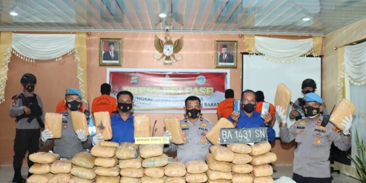 Tangkapan Terbanyak Satresnarkoba Polres Pasaman Barat, 56 Paket Ganja Kering Telah Disita Pada Awal Tahun 2022.