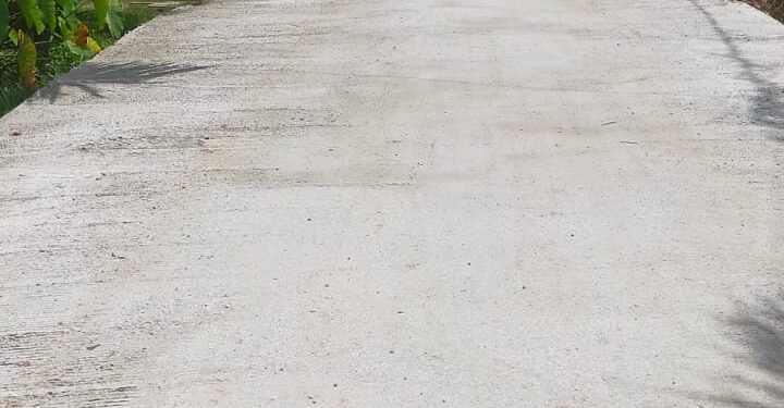 Proyek Semenisasi Jalan LKMD Terkesan Asal Jadi, Pejabat Tidak Tahu.