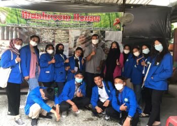 Mahasiswa UNDS Prodi Manajemen Lakukan Kegiatan Entrepreneurship.
