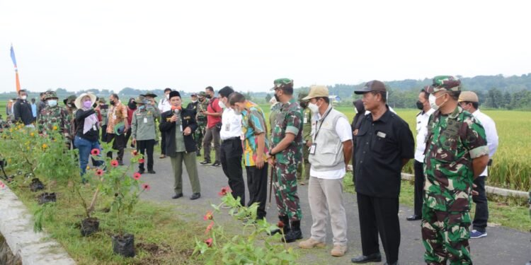 Dinas Pertanian Dan Perkebunan Jateng Gandeng Kodim 0724/Boyolali Laksanakan Gerakan OPT dan ODI.