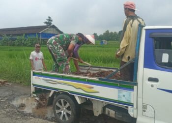 Semangat Gotong Royong, Babinsa Bersama Warga Timbun Jalan Berlubang.