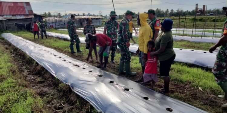Program Ketahanan Pangan, Danramil Aimas Bantu Petani.