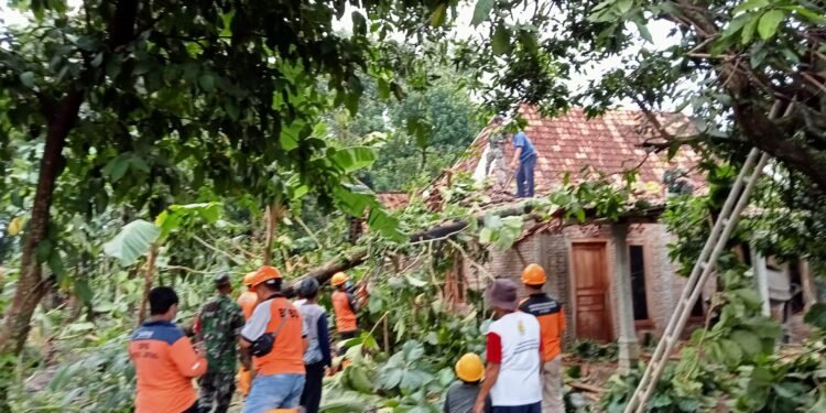 Babinsa dan Warga Gotong Royong Bersihkan Pohon Tumbang.