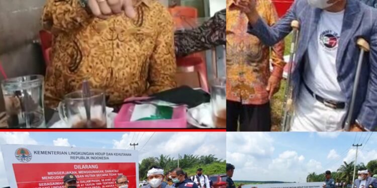 Masyarakat Riau Minta Komisi IV DPR-RI Fokus Terhadap Lahan Sawit Ilegal Skala Besar.