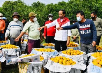 Presiden Tinjau Kampung Jeruk Liang Melas Datas, Kabupaten Karo.