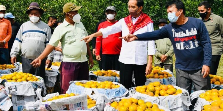 Presiden Tinjau Kampung Jeruk Liang Melas Datas, Kabupaten Karo.