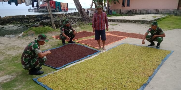 Satgas Kodim Maluku Yonarhanud 11/WBY, Jalin Komunikasi Sosial (Komsos) Dengan Petani Cengkeh Di Negeri Saleman.