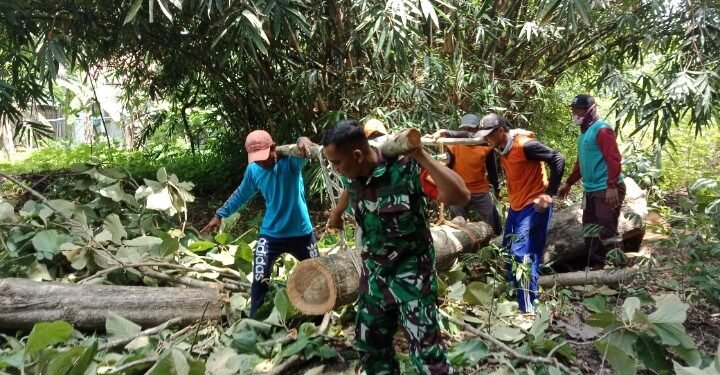 Jalin Kebersamaan Dengan Warganya, Babinsa Bantu Angkat Material Kayu.