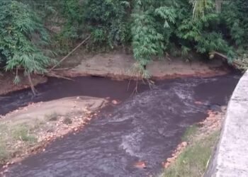 Diduga Tercemar, Air Sungai Bangke Menghitam.