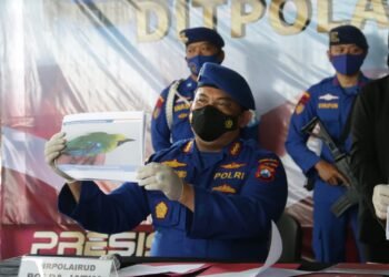 Ditpolairud Polda Jatim Gagalkan Penyelundupan dan Perdagangan Burung Dilindungi.