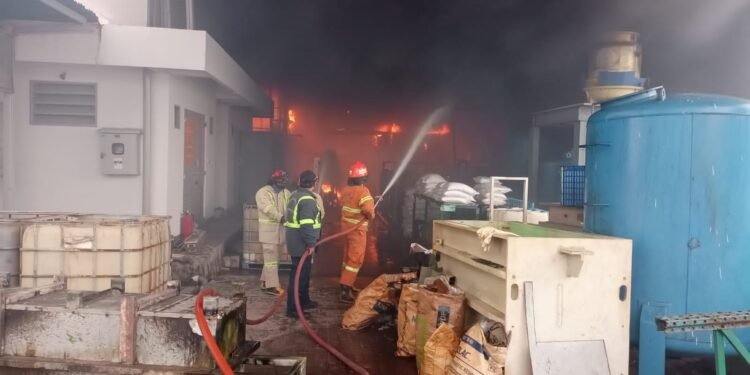 Si Jago Merah Melahap Pabrik di Kawasan Industri Jababeka Bekasi.