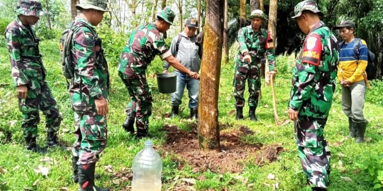 Pangdam III/Siliwangi Tinjau Hasil Uji Produktifitas Karet Di PTPN VIII Miramare Garut Selatan Menggunakan Bios 44 DC.