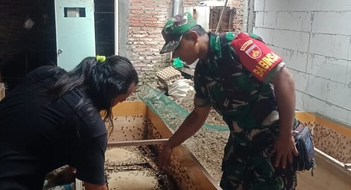 Berikan Motivasi, Babinsa Nogosari Komsos Dengan Peternak Jangkrik.