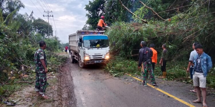 Pohon Tumbang Hambat Lalu Lintas Jalan, Babinsa Koramil 1204 – 12/ Parindu Bersama Warga Sekitar Lakukan Pembersihan.
