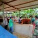 Babinsa Sukseskan Vaksin PMK di Desa Pulutan Nogosari.