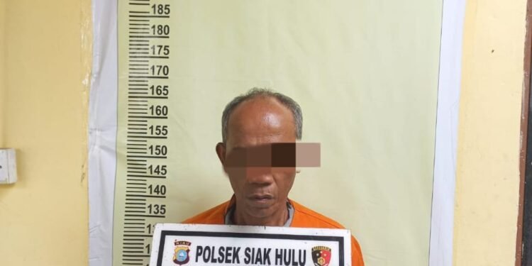 Cabuli Bocah, Pria Tua Ini di Ringkus Polsek Siak Hulu.