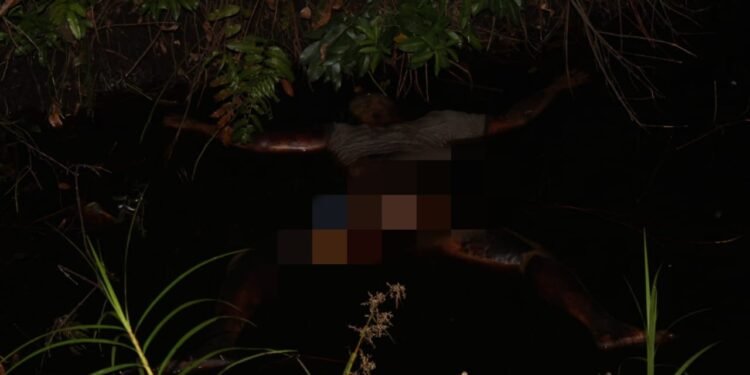 Tidak Utuh Lagi, Mayat Pria Tanpa Identitas di Temukan di Parit Gajah.