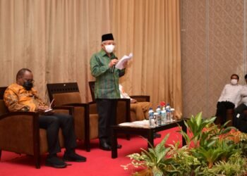 Wapres Dorong Papua Selatan Jadi Lumbung Pangan Nasional di Indonesia Timur. 