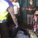 Dibuat Gempar,, Warga Temukan Mayat Mengapung di Parit Desa Korek, Ini Kronologisnya,??
