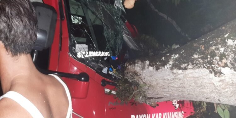 Pohon Tumbang Timpa Truk Bermuatan Gas Elpiji, Personil Polsek Singingi Lakukan Evakuasi