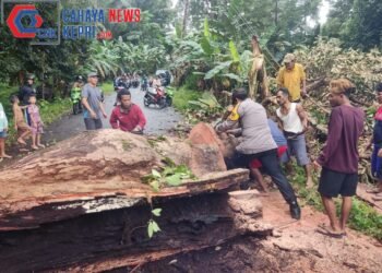 Pohon Tumbang Akibat Angin Kencang, Bhabinkamtibmas Bersama Warga Bersihkan Jalan Yang Terblokir.