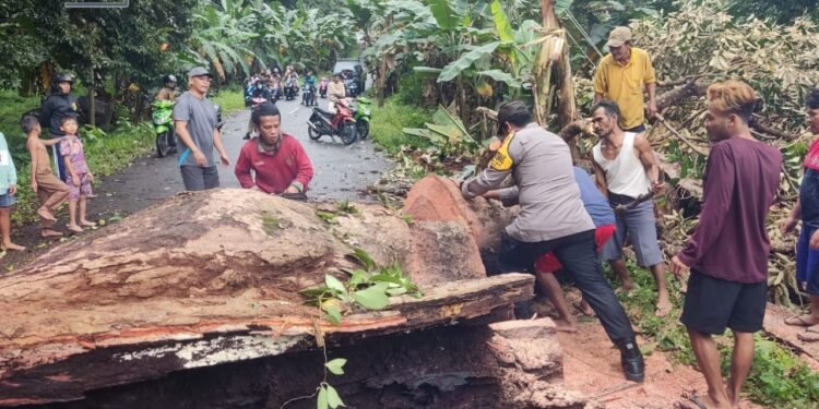Pohon Tumbang Akibat Angin Kencang, Bhabinkamtibmas Bersama Warga Bersihkan Jalan Yang Terblokir.