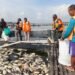 Kepedulian Babinsa Kemusu Bantu Bersihkan Jutaan Ikan Mati Akibat Cuaca Ekstrem.