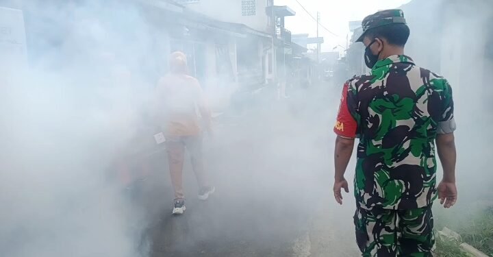 Basmi Sarang Nyamuk DBD, Babinsa Laksanakan Fogging.