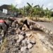Bantu Pembangunan Talud, Babinsa Action Terjun Ke Masyarakat.