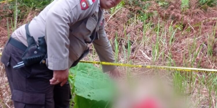 Kasus Penemuan Mayat Bayi di Desa Pala Pulau, Kini Diselidiki Jajaran Personil Polres Kapuas Hulu.