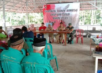 Dukung Ketahanan Pangan Peternakan, Babinsa Hadiri Pelatihan Ternak Kambing.